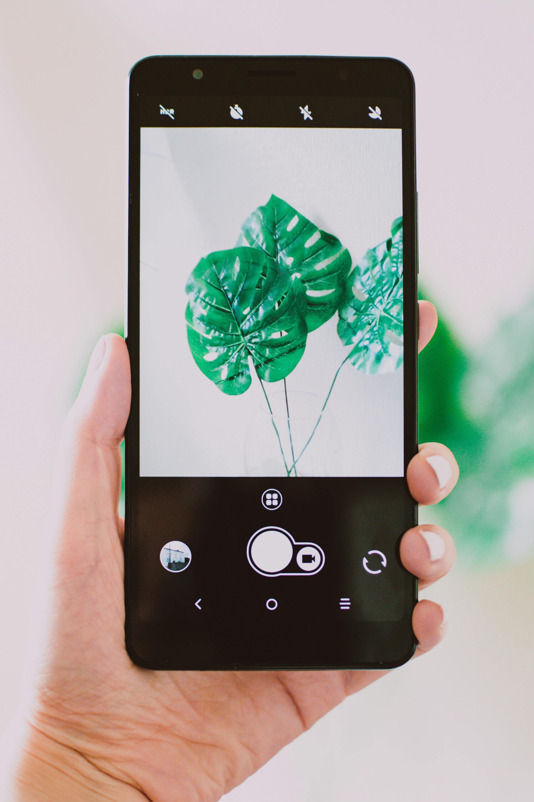 A hand holds a smartphone displaying a monstera plant photo, blending nature and technology.